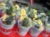 rewe-chao-38