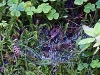 dsc06933