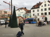 Weihnachtliches Pasing 2019 - 06