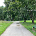 Laufstrecke mit Parkbank in München